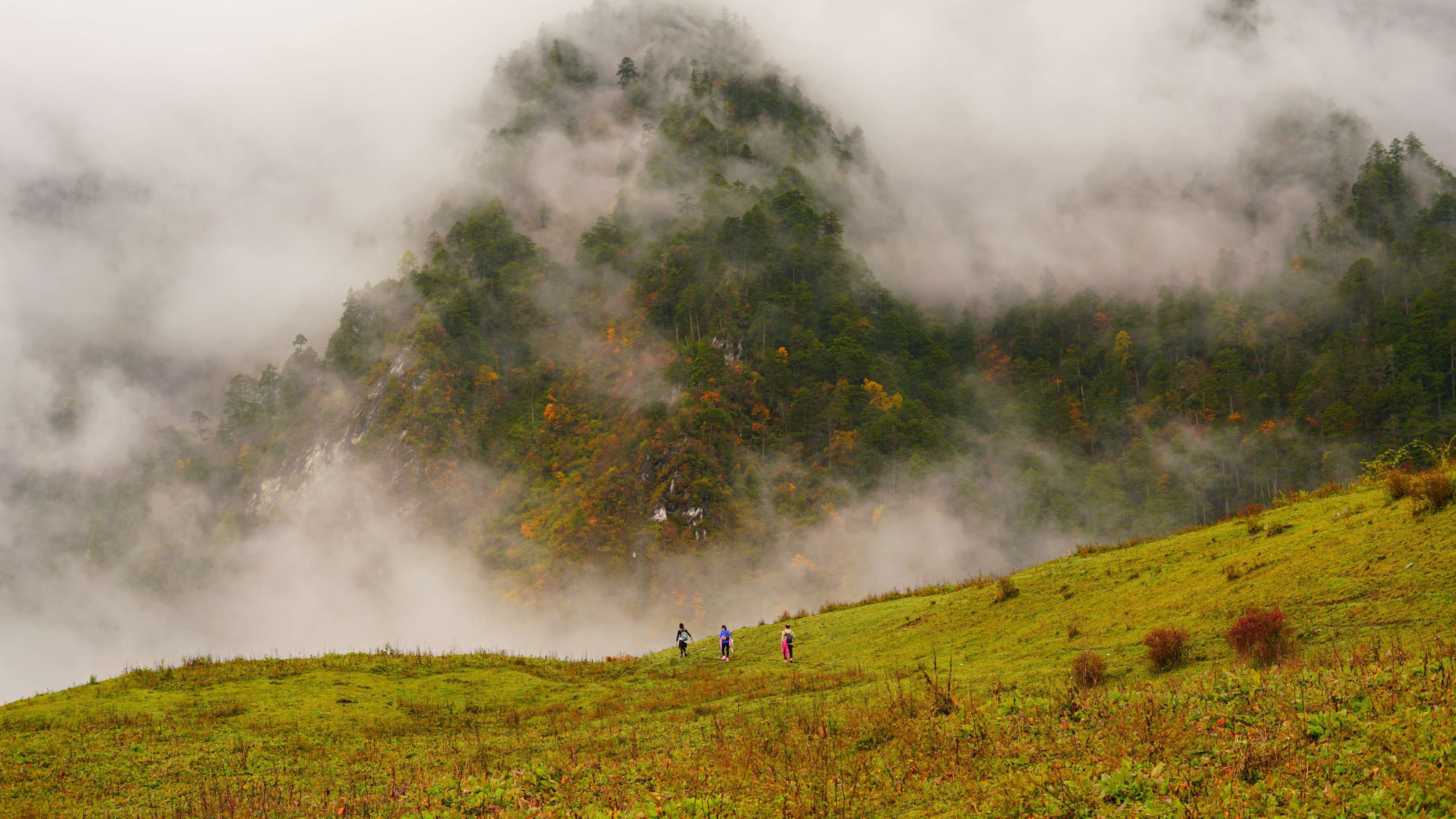 到四川阿坝旅游不能错过的19个景点，你去过几个？最爱哪个景点