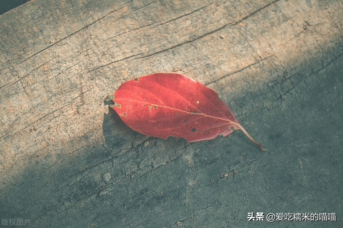 “爸爸离开后，我也不想活了”：遭遇亲人离世，如何才能重新生活