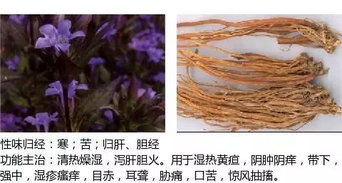 300个中草药图谱（附主治功效），知道一半就太牛了（上）