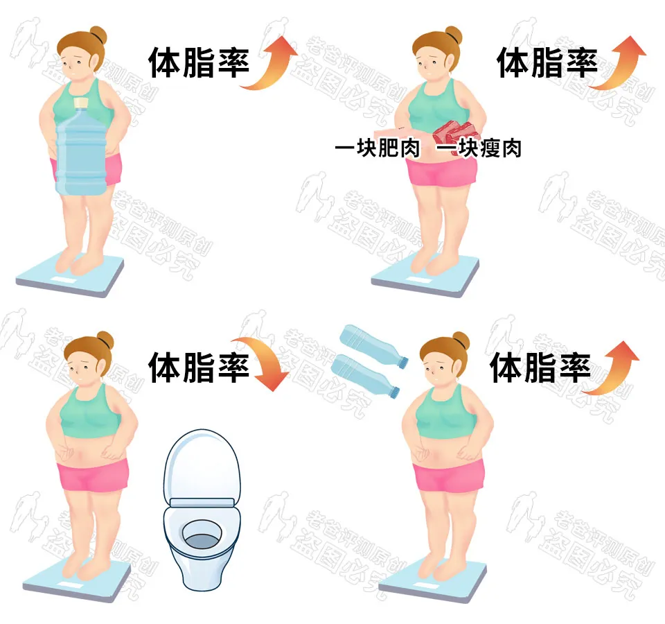 体脂称真的准吗?实测17款热门体脂称,得出了扎心的结论