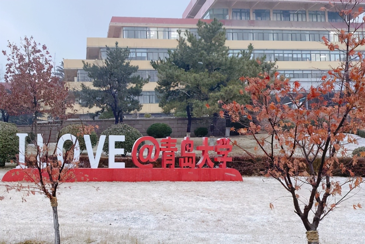 青岛大学实力如何？3个专业进入全球“第一方阵”，还有100%就业率！