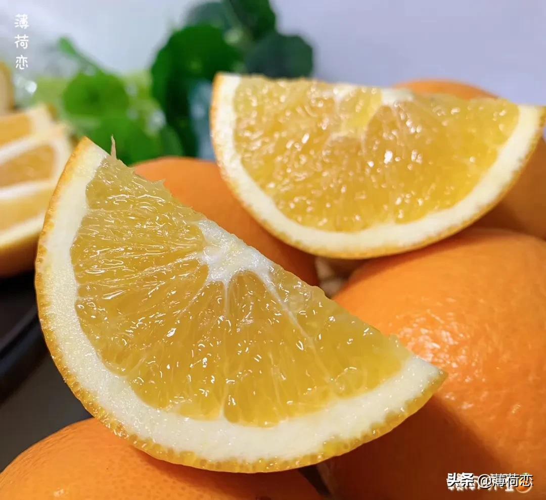 （原创）32种橘橙柚大集合之二，喜欢哪个快来看看哦