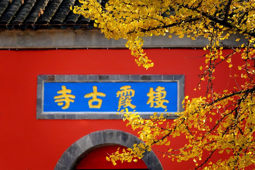 太美了!10个愈秋愈美的小众旅行地,错过只能再等一年