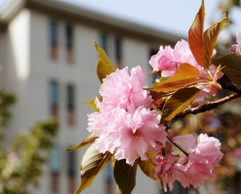 河南财经政法大学2016-2017录取分数线