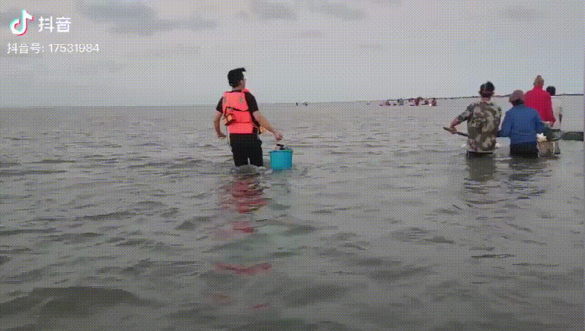 渔村小马在抖音带你去赶海，浪漫就是：说不定今天捉到啥