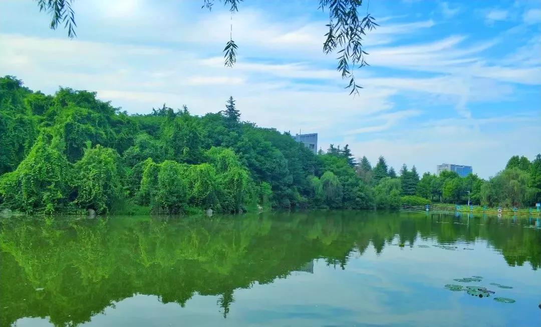 武汉工程大学自考本科