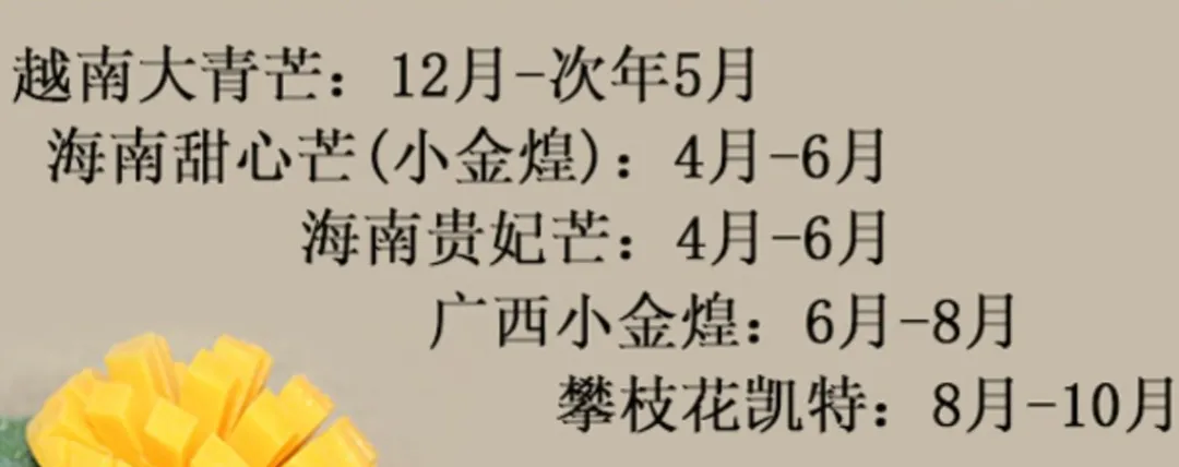 最好吃的芒果图鉴指南，怎么选芒果，看完这篇文章你就知道了