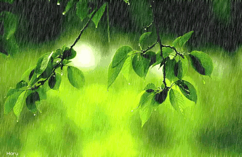 唐宋诗词中的雨韵：诗意描绘自然之景