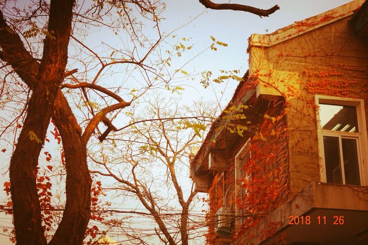 30年重回母校，深情切切，可喜新颜——河大老校区随拍