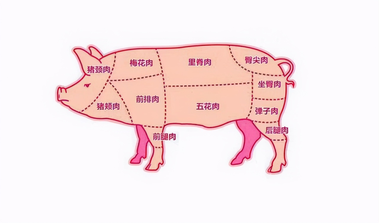哪个部位的猪肉最好吃