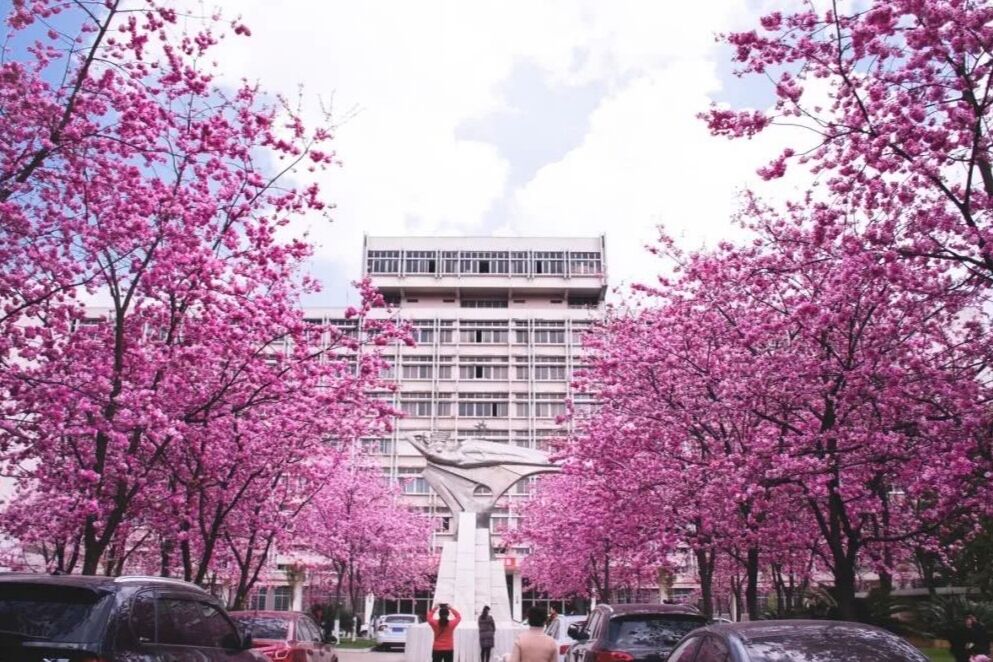 2021“双非”高校排名出炉，深圳大学无缘榜首，扬州大学跻身前5