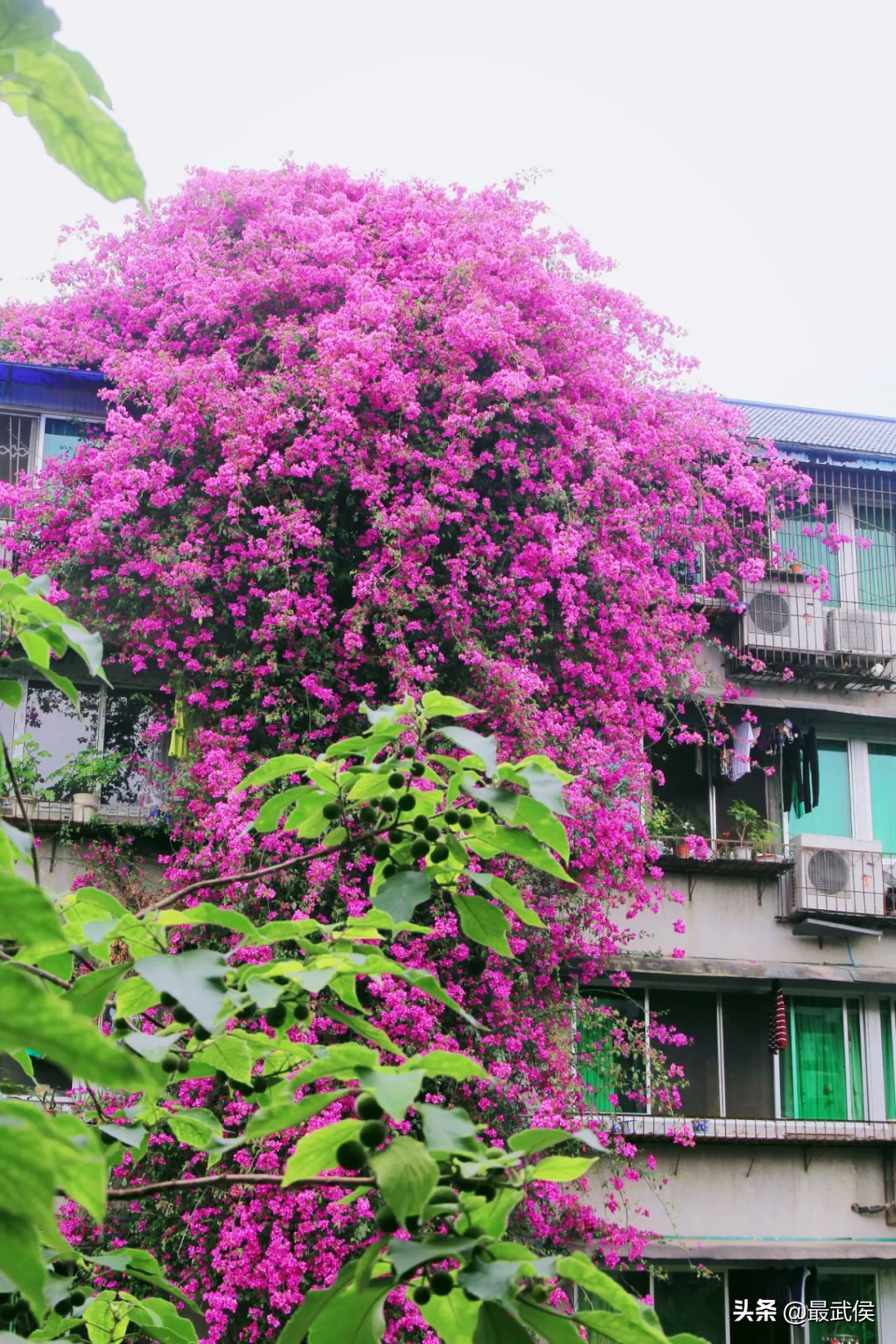 趁着搬迁之前，再去成都体育学院走一走吧！太满足了！