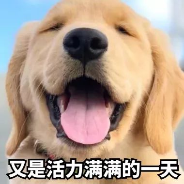 「丁浩朗读」单词