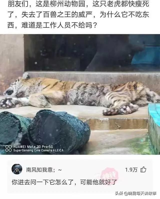 神回复：女友是舞蹈队的，压力特别大怎么办？神评把我笑喷了