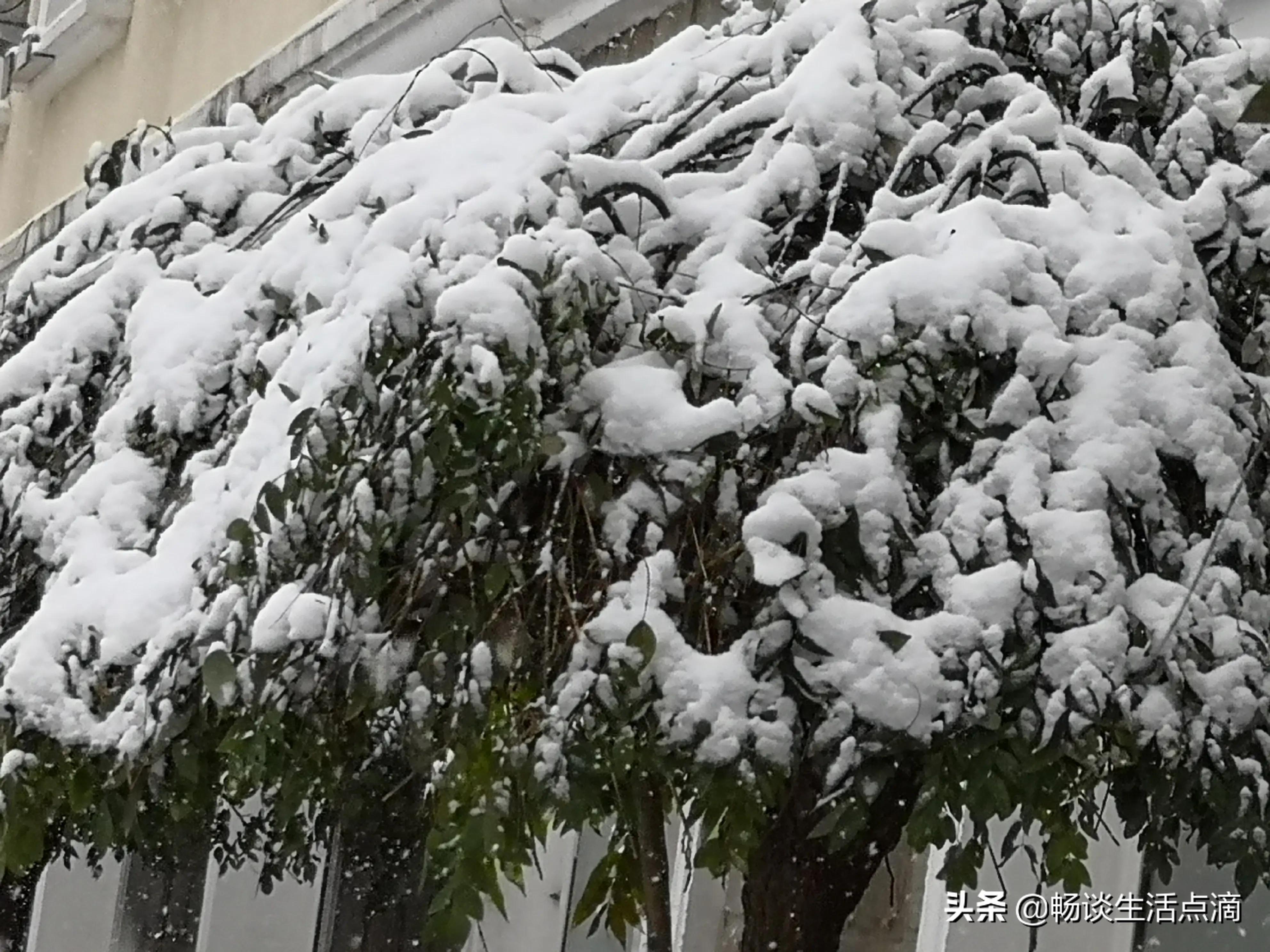 立冬节气到了，这天出现“雷打雪”，啥预兆？看老祖宗留下的谚语