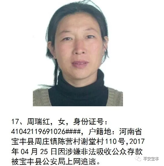 网上逃犯,网上逃犯名单查询系统