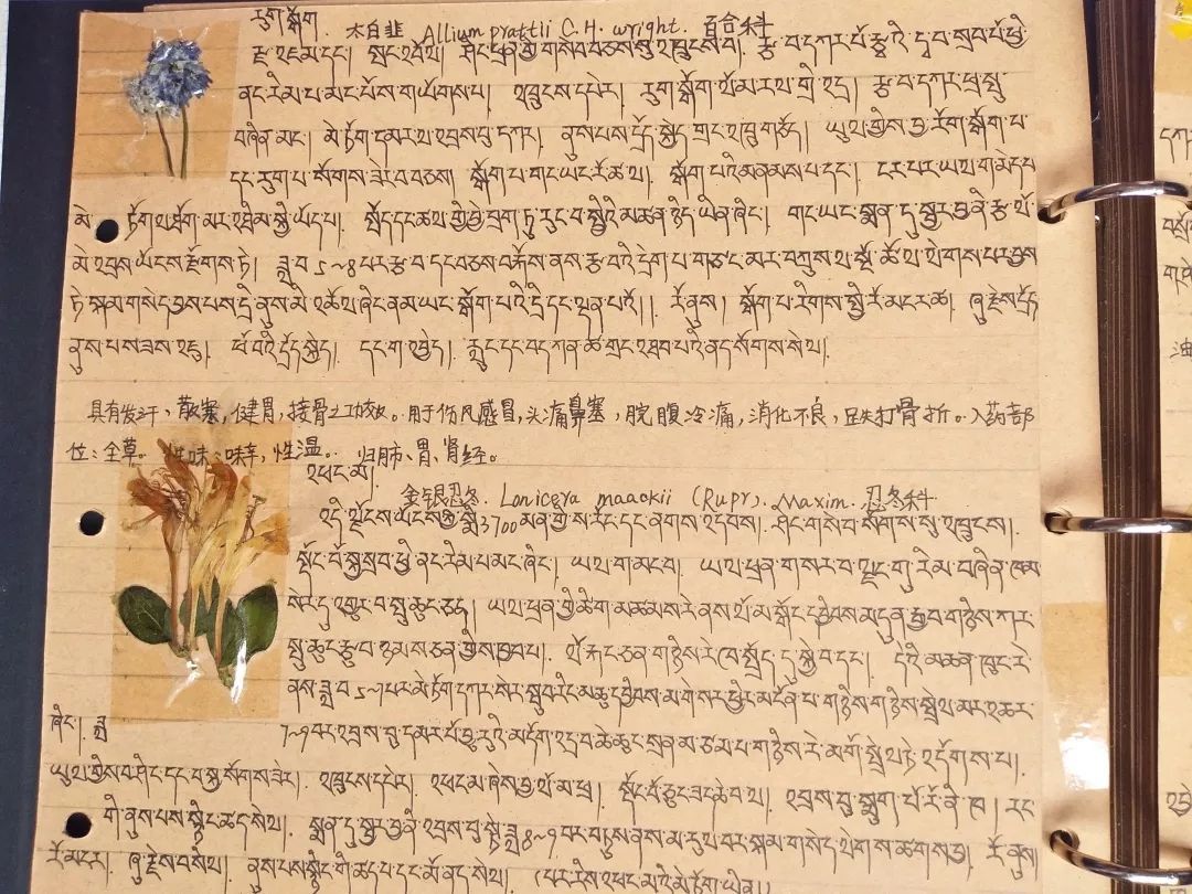 大学奇葩专业大汇总！母猪的产后护理简直弱爆了