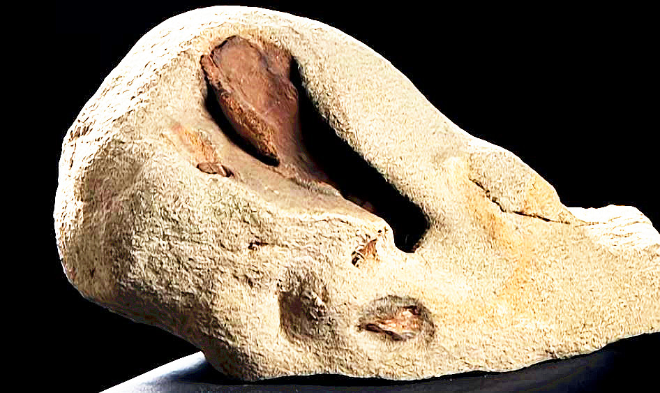 一神秘洞穴惊现15万年前