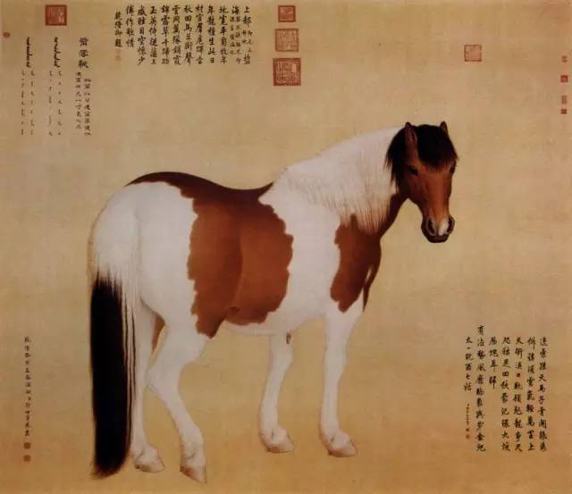 中国古今名家笔下的骏马，纵横驰骋