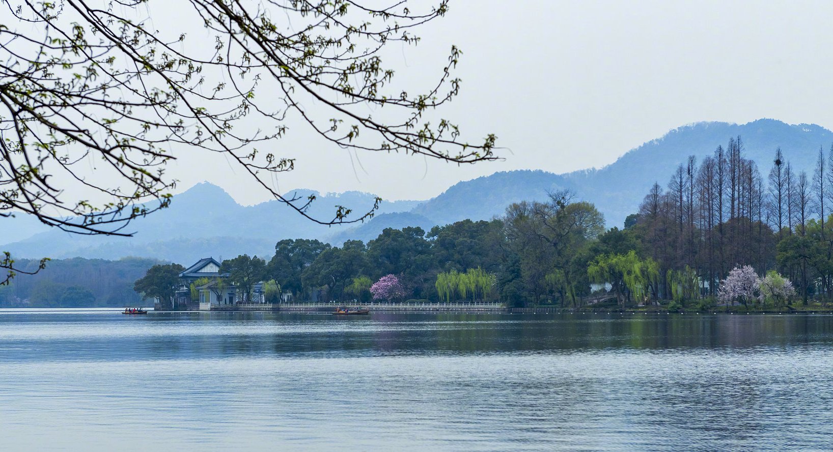 杭州西湖的春天已经来到了杭州西湖的春天是个美丽的地方