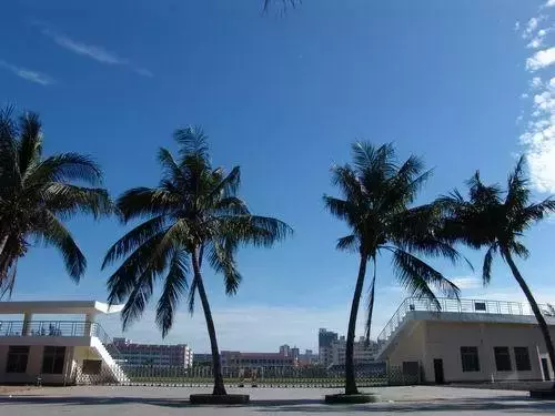 被认为是“保底学校”的四所一本高校，实力并不弱