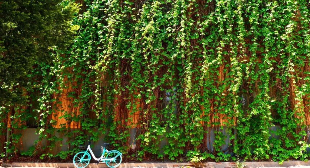 省级一流专业——辽宁大学英语专业