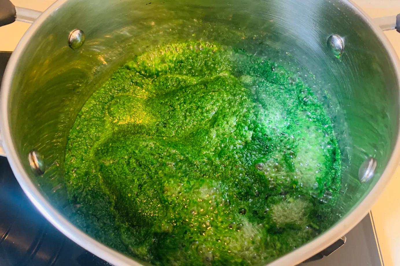 菠菜汁这样和面，一煮一滤0添加，拌入面中营养健康，颜色还更绿