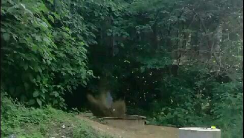 大学奇葩专业大汇总！母猪的产后护理简直弱爆了