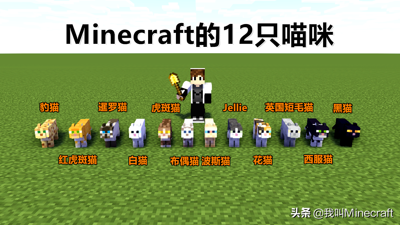 如何在《我的世界》里做一名合格的“铲屎官”？MC猫咪全攻略！
