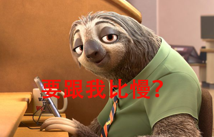 辟谣：考拉真的非常“笨”吗？它们为什么没有灭绝？