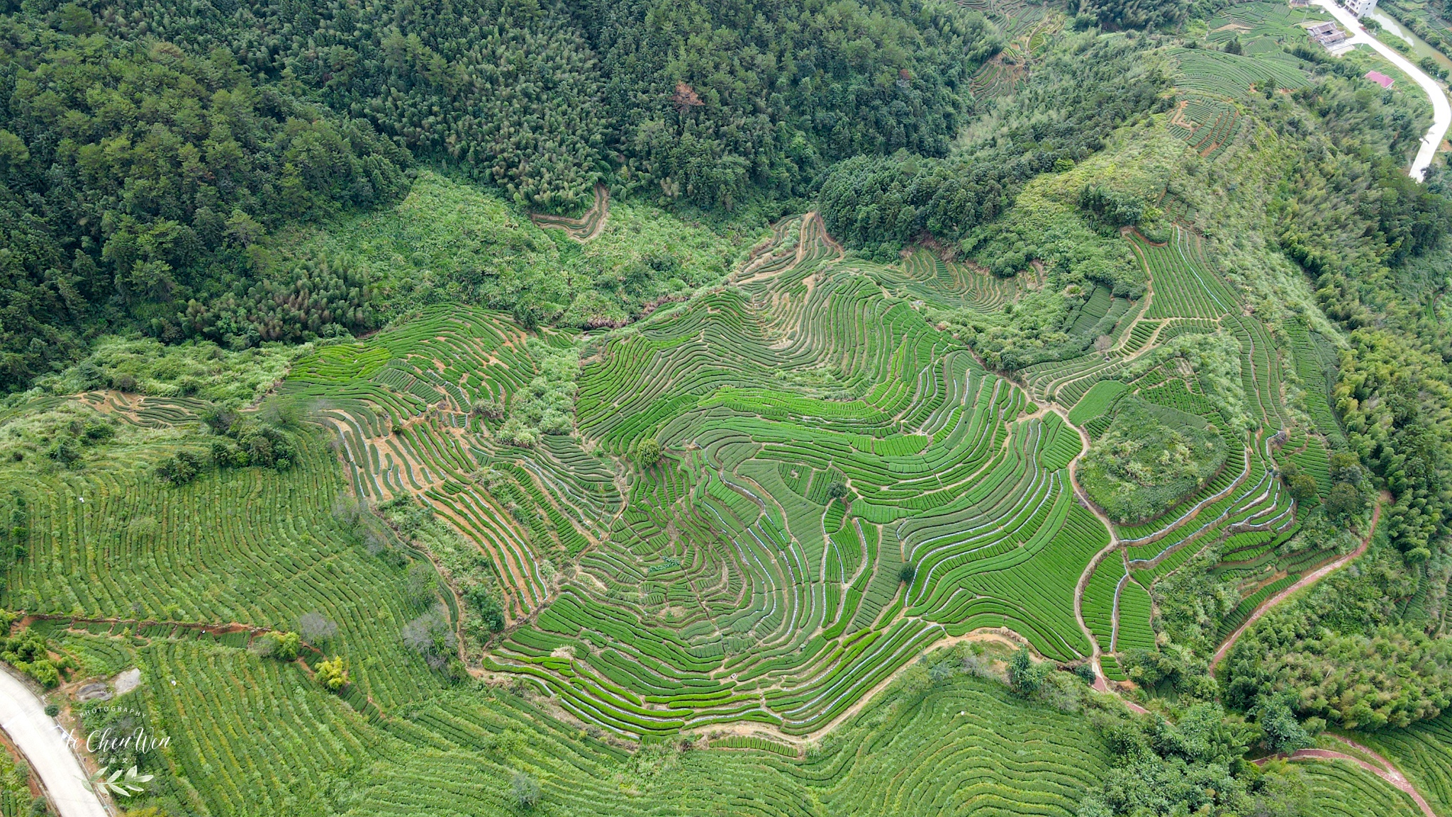 铁观音发源地（探访中国十大名茶之一铁观音的发源地）