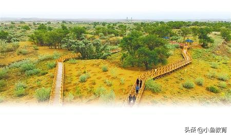 23个省中，2020年省内排名前5的大学！甘肃篇