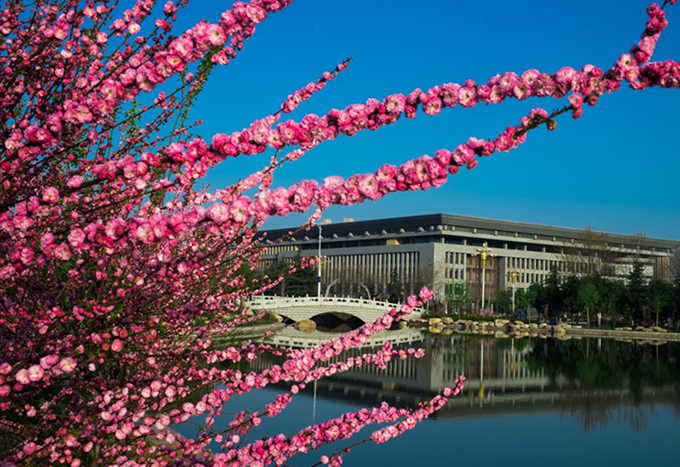 洛阳有哪些不错的大学,哪一所大学实力最出色?