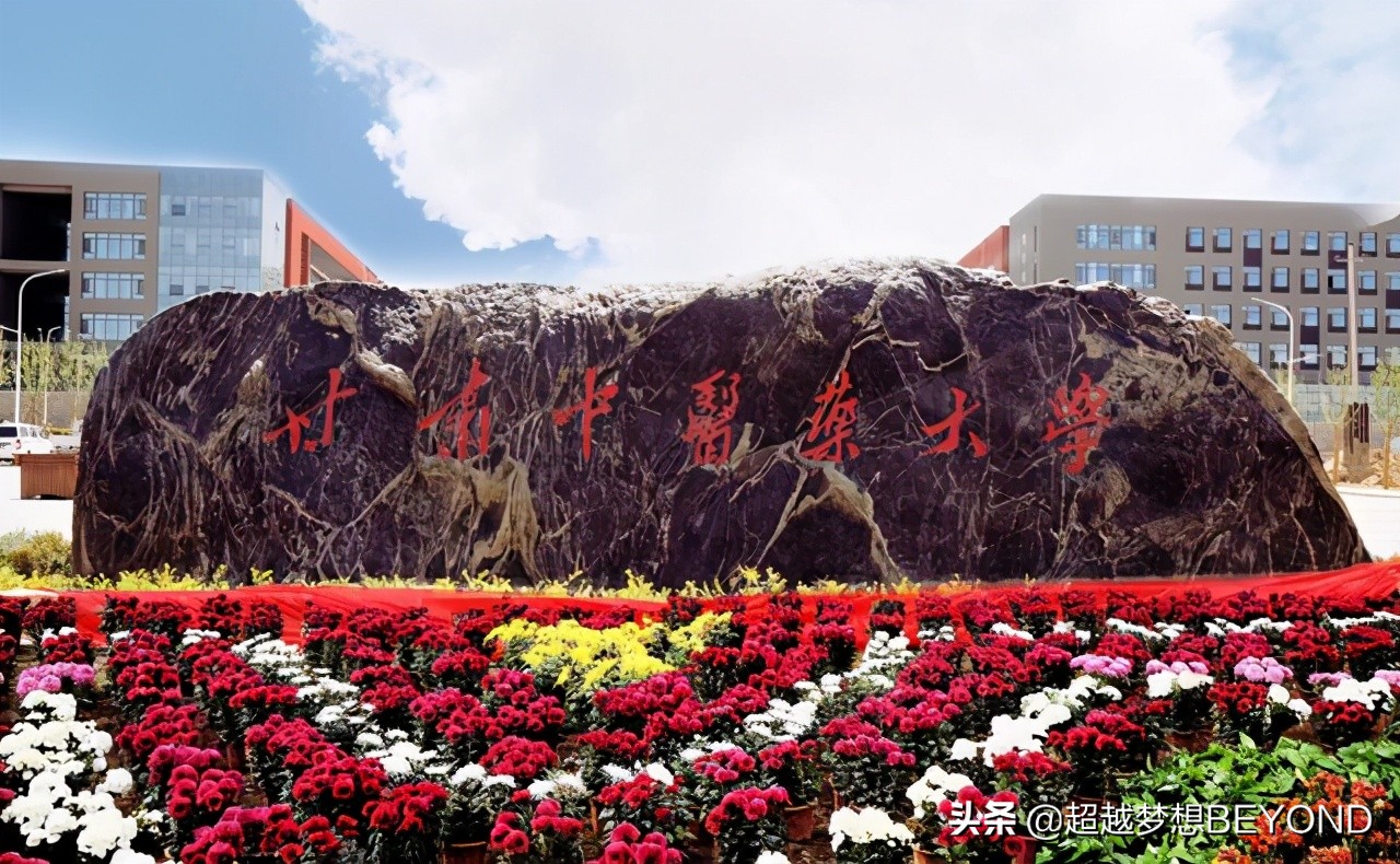 河南中医药大学2017年录取分数线（甘肃中医药大学2020年各省本科批次录取分数统计）