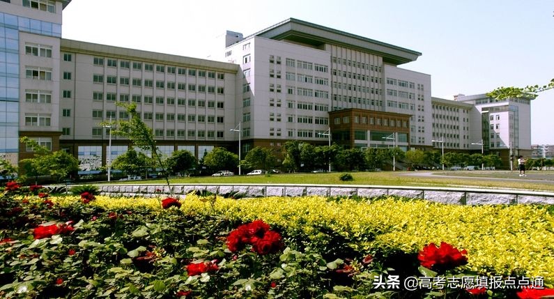 武汉理工大学优势专业分析及2019、2018、2017年各省录取分数线