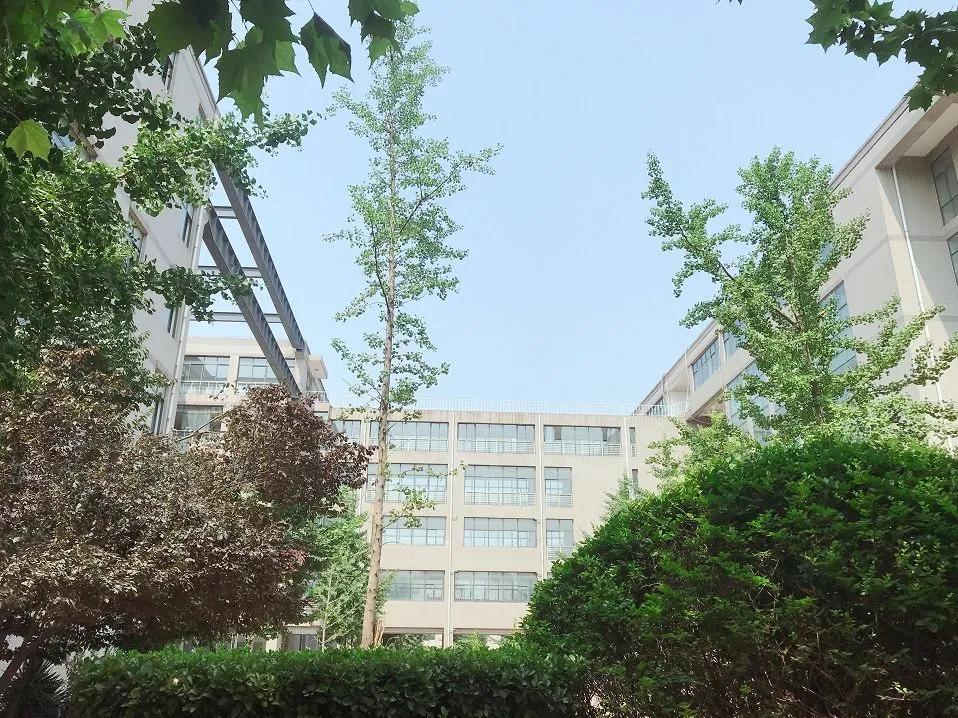 河北科技大学分高难考，但属实是理工科接本的最高目标