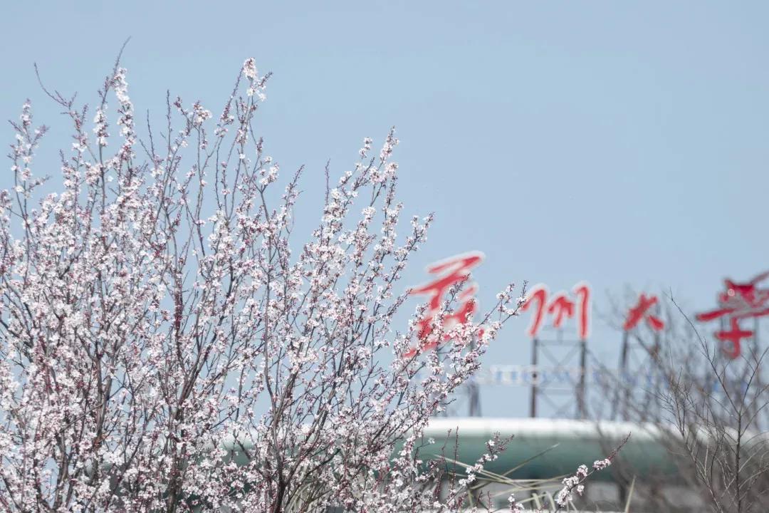 江苏省高校（六十六）苏州大学应用技术学院