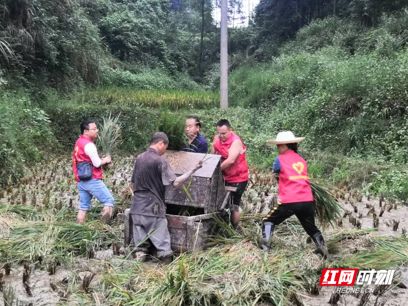 应重视丘陵山区水稻机收，畅销履带收割机中有适用机型