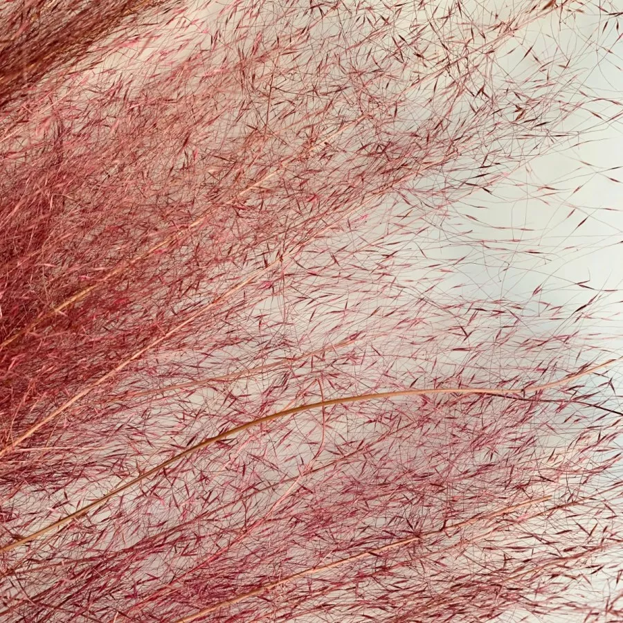 失去质感的花艺师,怎么过冬?