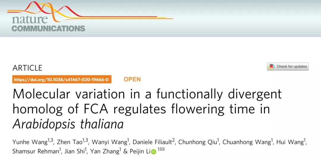 安徽农业大学李培金团队揭示植物花期调控的新机制