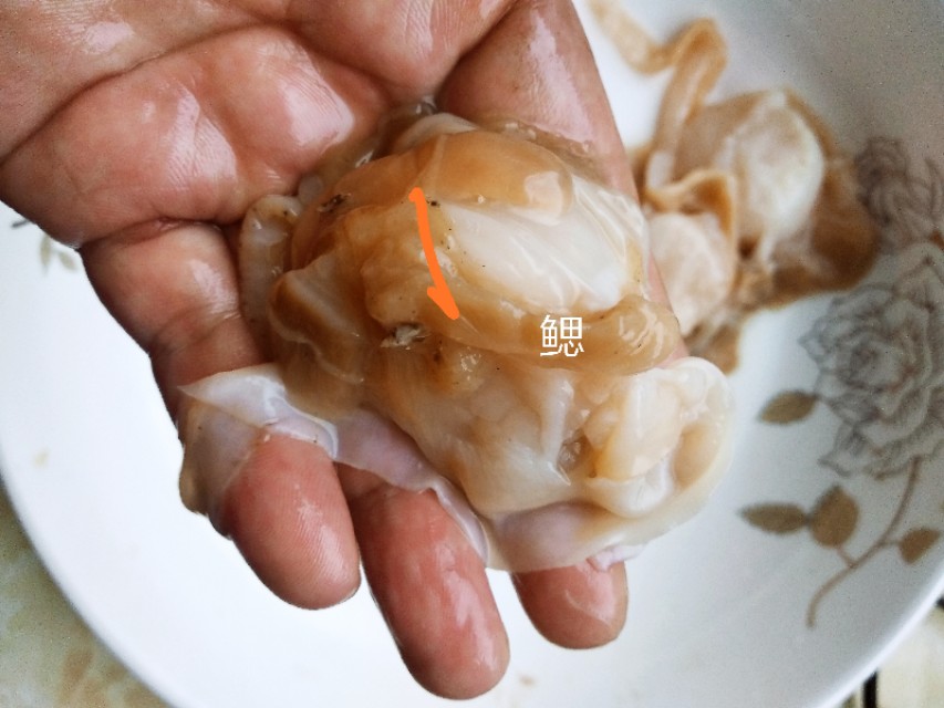 吃扇贝，只要把这两个部位清理干净，再掌握好火候，怎么做都好吃