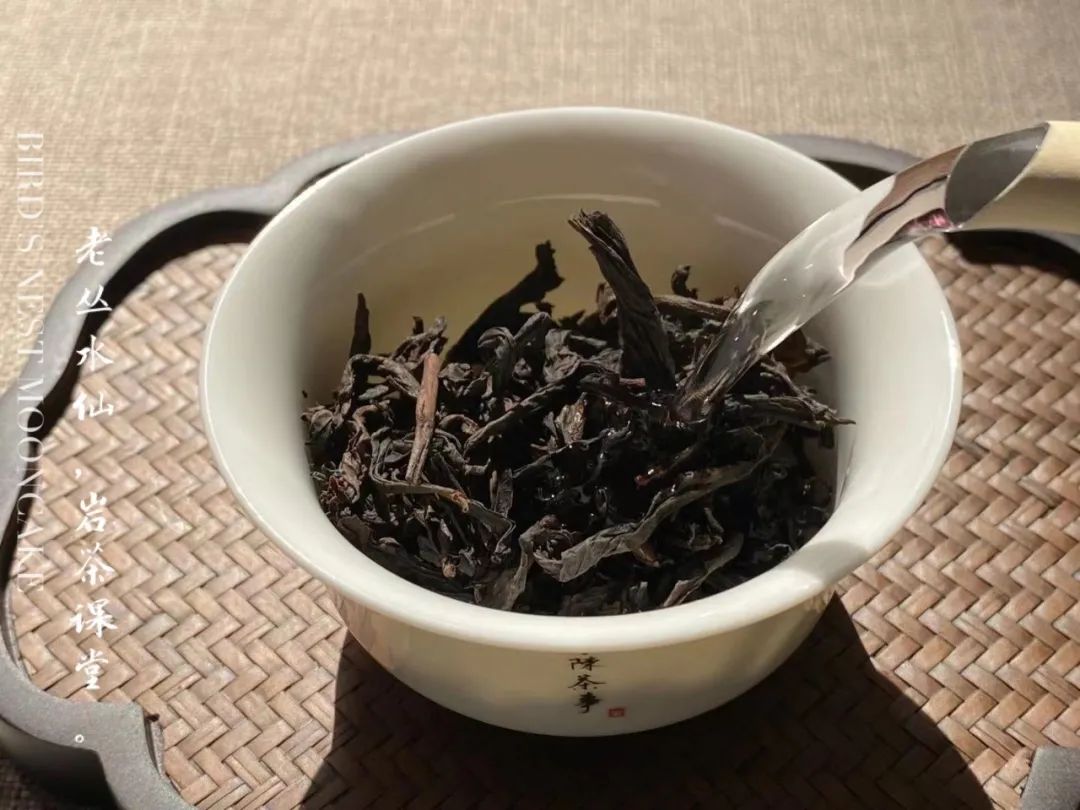 都是乌龙茶，老丛水仙与凤凰单丛有什么区别，你能说中几个？