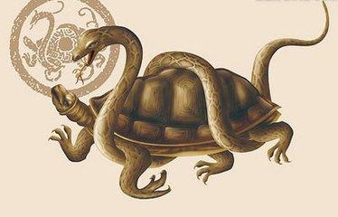 上古神话中的5大神龟，玄武第5，第1有大功德，曾协助女娲补天