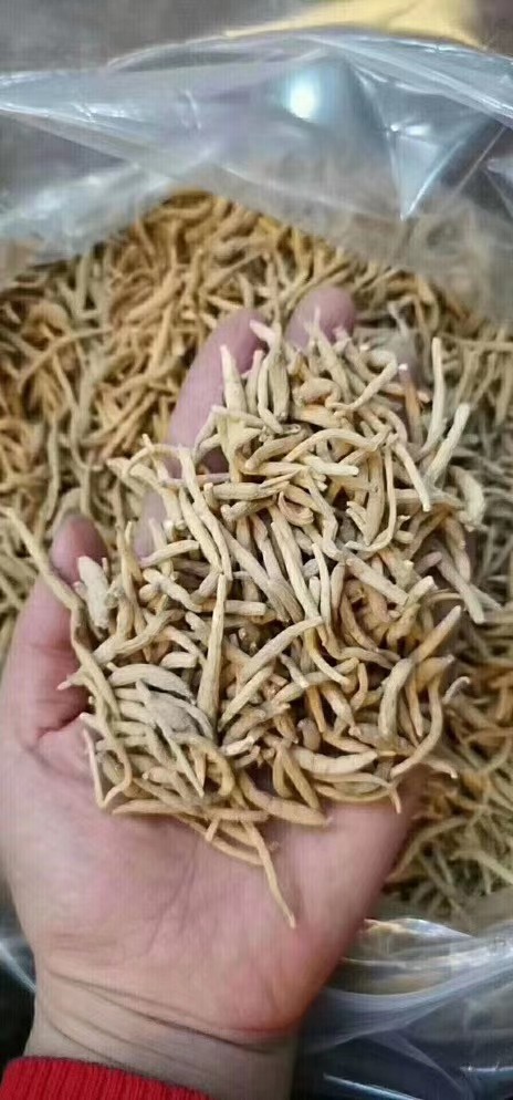 三伏天，适合一家大小都喝的太子参黄芪汤，清甜又好吃，一锅搞定
