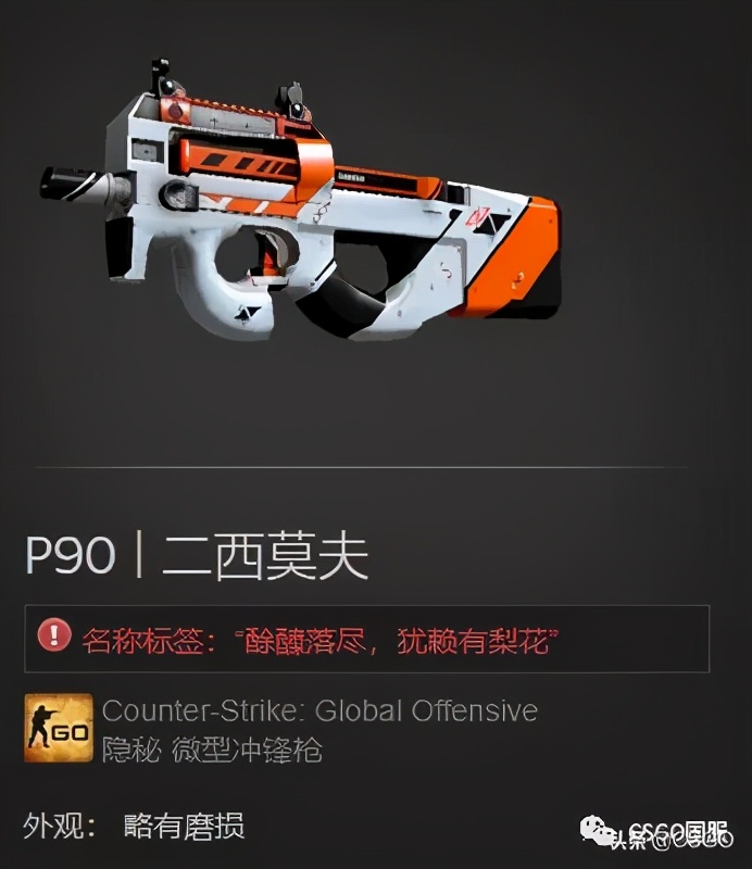 「CSGO皮肤控」第63期：CSGO里那些内涵皮肤名