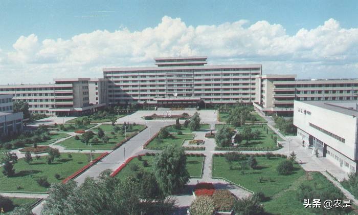 姚玉昌，东北农业大学教授，抗病育种、生殖免疫专家