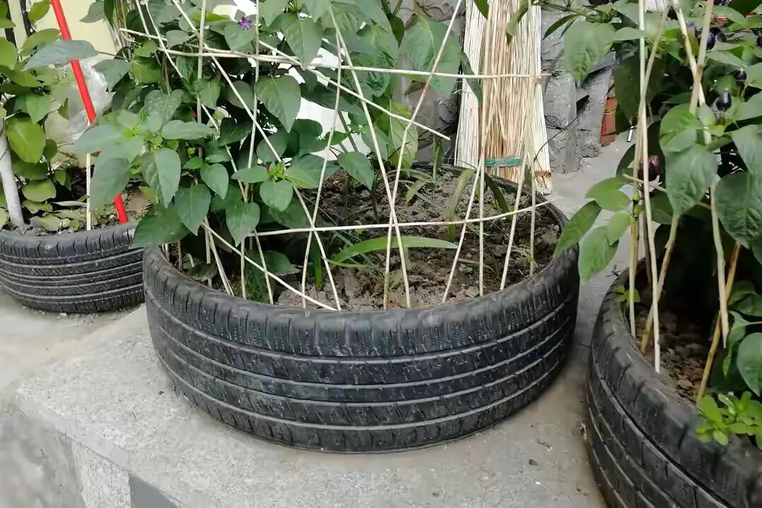 太有才了，捡来的旧轮胎，变废为宝变“精美花盆”，这操作我服！