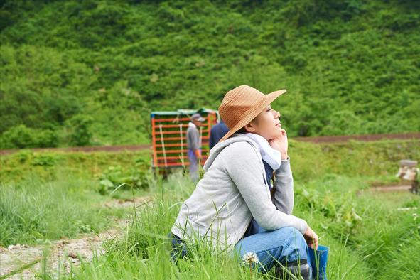 农业大学是学什么的（三所顶尖农业类大学）