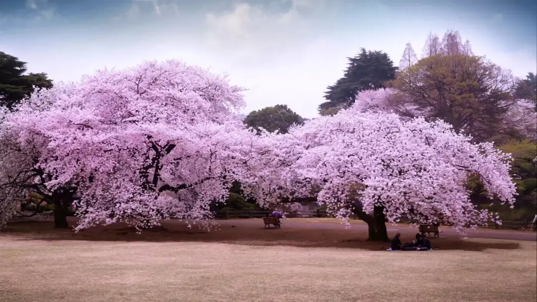 全部的成语！太齐全了，值得收藏！