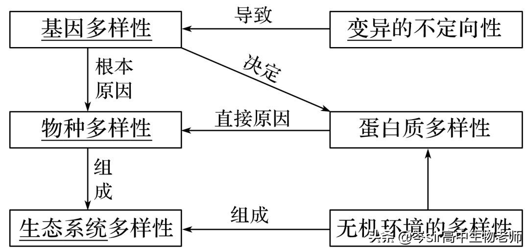 现代生物进化理论（高中生物重点知识梳理）